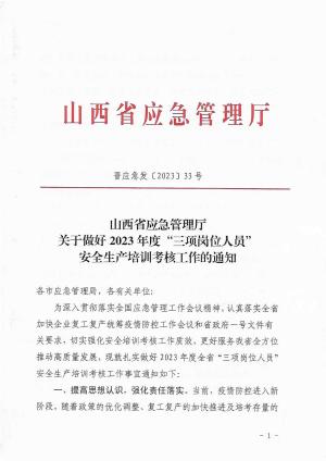 晋应急发〔2023]33号山西省应急管理厅关于做好2023年度“三项岗位人员”安全生产培训考核工作的通知(修改版)(再改版).pdf预览图