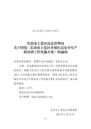 长上应急字〔2023〕48号 打击安全生产假培训工作实施方案（非文件头版）.pdf预览图