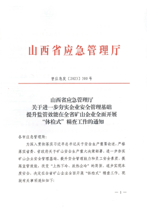 晋应急发〔2023〕300号  关于进一步夯实企业安全管理基础提升监管效能在全省矿山企业全面开展“体检式”精查工作的通知（带章）.pdf预览图