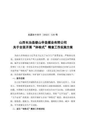 长县雄辛煤字〔2023〕120 号  雄山辛呈“体检式”精查工作方案.docx预览图