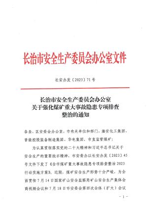 长安办发〔2023]71号 关于强化煤矿重大事故隐患专项排查整治的通知.pdf预览图