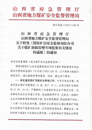 晋应急函〔2023〕206号 关于转发《国家矿山安全监察局综合司关于煤矿顶板管理专项监察有关情况的通报》的通知(1).pdf预览图