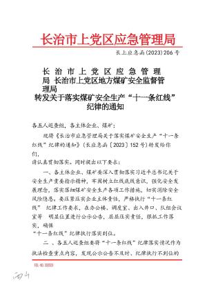 长上应急函【2023】206号 转发关于落实煤矿安全生产“十一条红线”纪律的通知.docx预览图