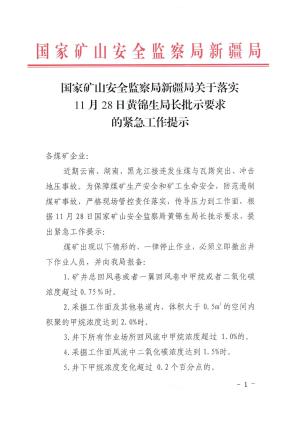 国家矿山安全监察局关于落实11月28日黄锦生局长批示要求的紧急通知.pdf预览图