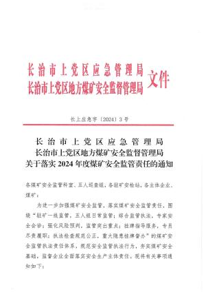 长上应急字 (2024)3 号 关于落实2024年度煤矿安全监管责任的通知.pdf预览图