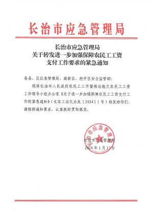 关于转发进一步加强保障农民工工资支付工作要求的紧急通知(1).pdf预览图