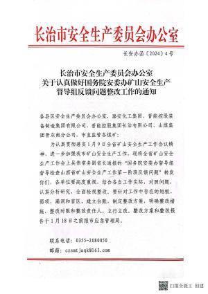 长安办函[2024]4号 关于认真做好国务院安委办矿山安全生产督导组反馈问题整改工作的通知.pdf预览图