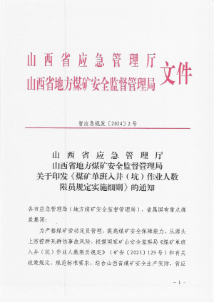 晋应急规发〔2024〕2号+关于印发《煤矿单班入井（坑）限员规定实施细则》的通知.pdf预览图