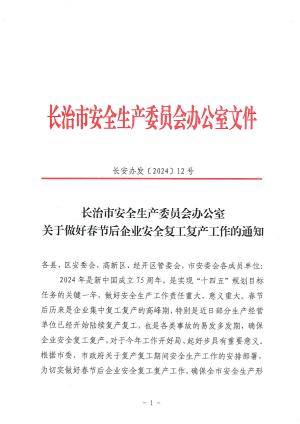 长安办发[2024]12 号 关于做好春节后企业安全复工复产工作的通知.pdf预览图