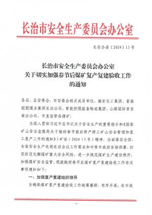 长安办函[2024]13 号 关于切实加强春节后煤矿复产复建验收工作的通知.pdf预览图