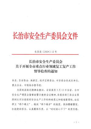 长安发〔2024]12号 关于开展全市重点行业领域复工复产工作督导检查的通知.pdf预览图