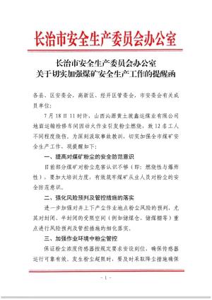 关于切实加强煤矿安全生产工作的提醒函1(3).pdf预览图