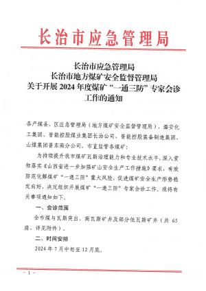 2024年度一通三防专家会诊通知.pdf预览图